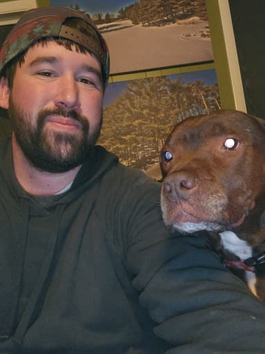 Alex Koch - Co-Founder of Window Tint Laws