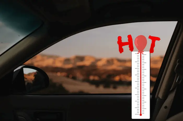 reduce heat window tint car